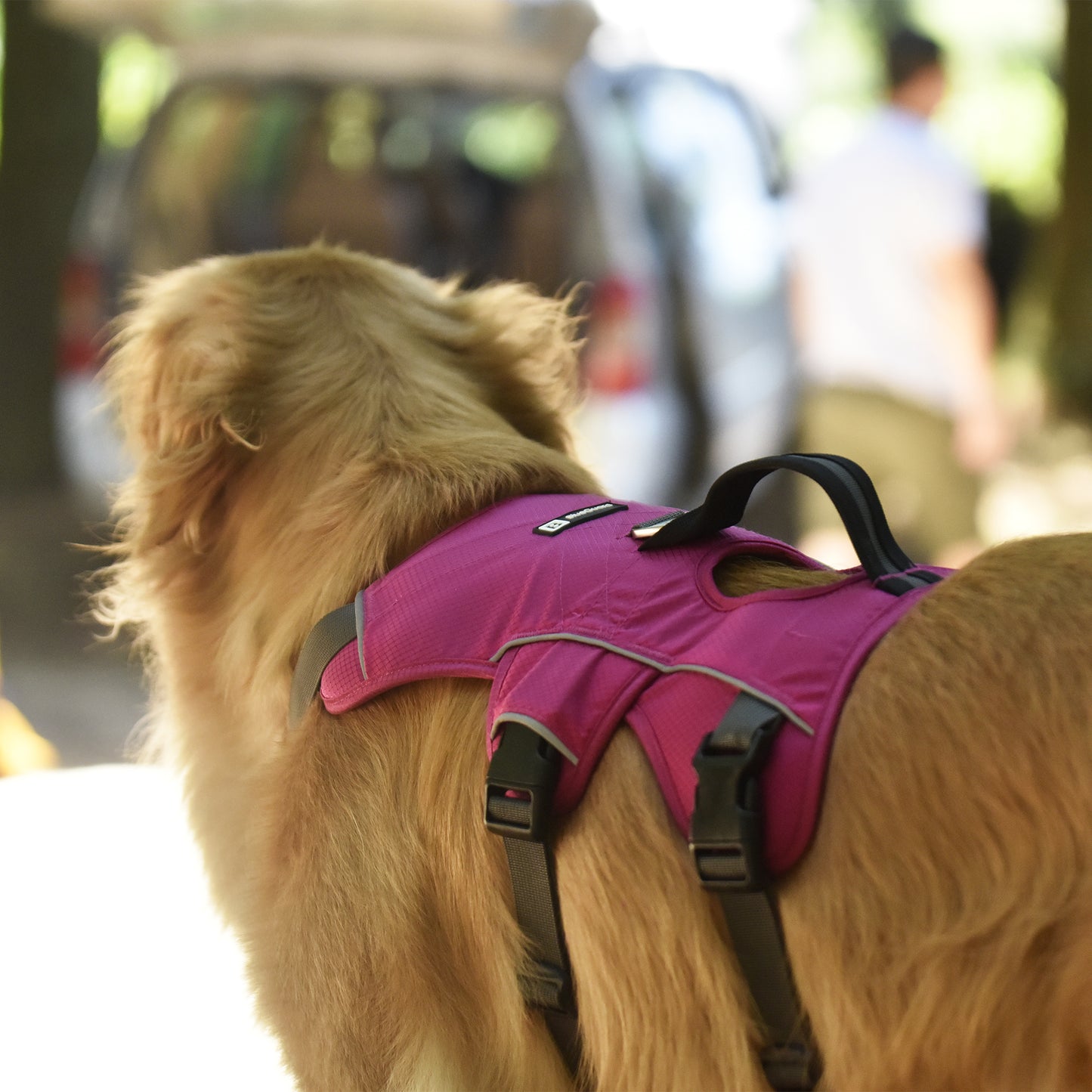Safe & Soft Sicherheitsgeschirr - gepolstert, pink