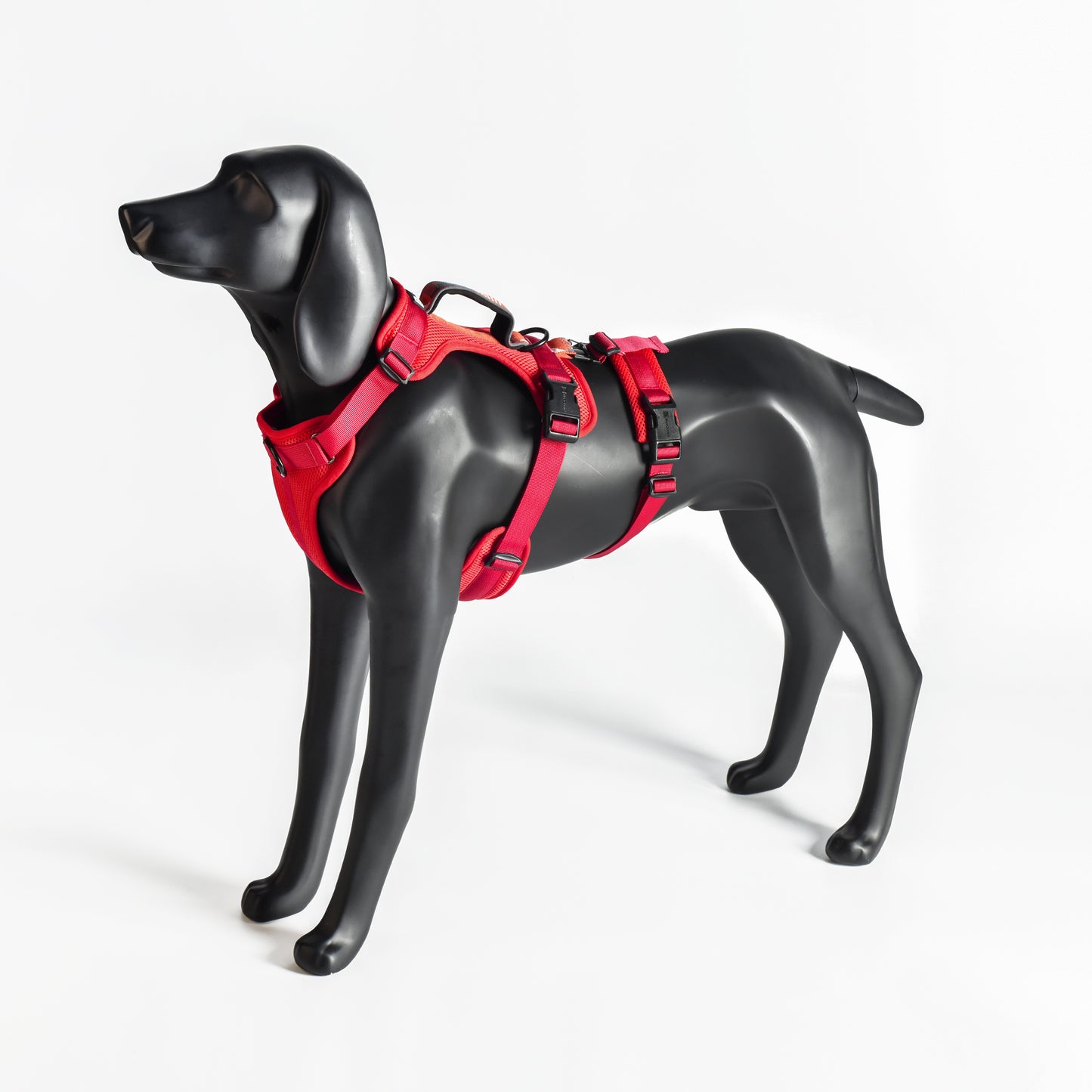 Adventure 2-in-1 Sicherheitsgeschirr - gepolstert, rot