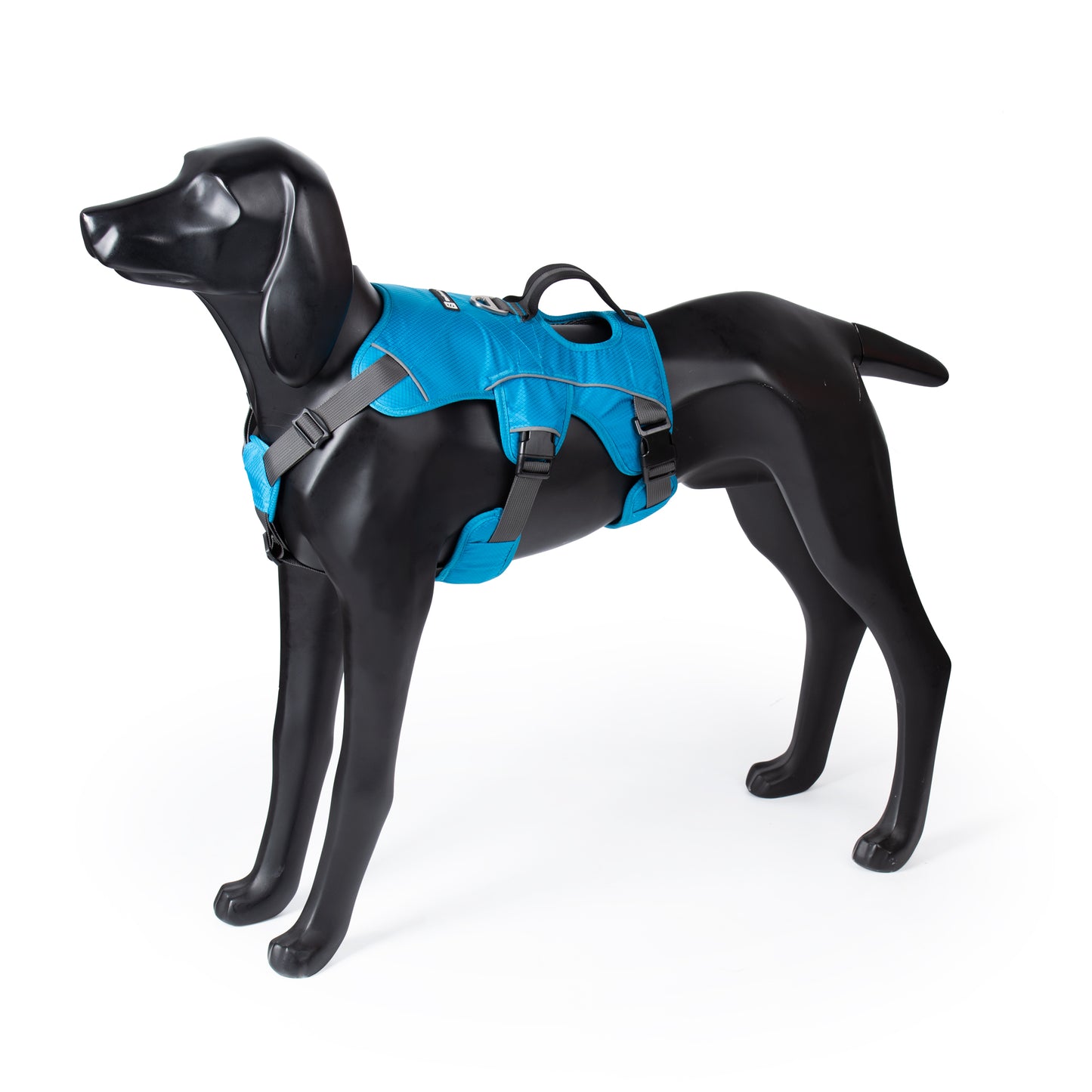 Safe & Soft Sicherheitsgeschirr - gepolstert, blau