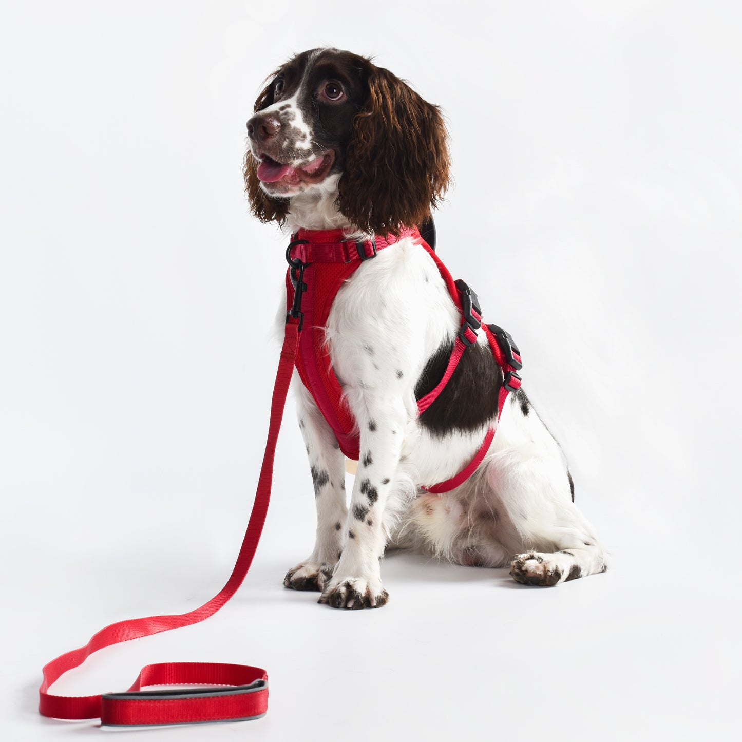 Adventure 2-in-1 Sicherheitsgeschirr - gepolstert, rot