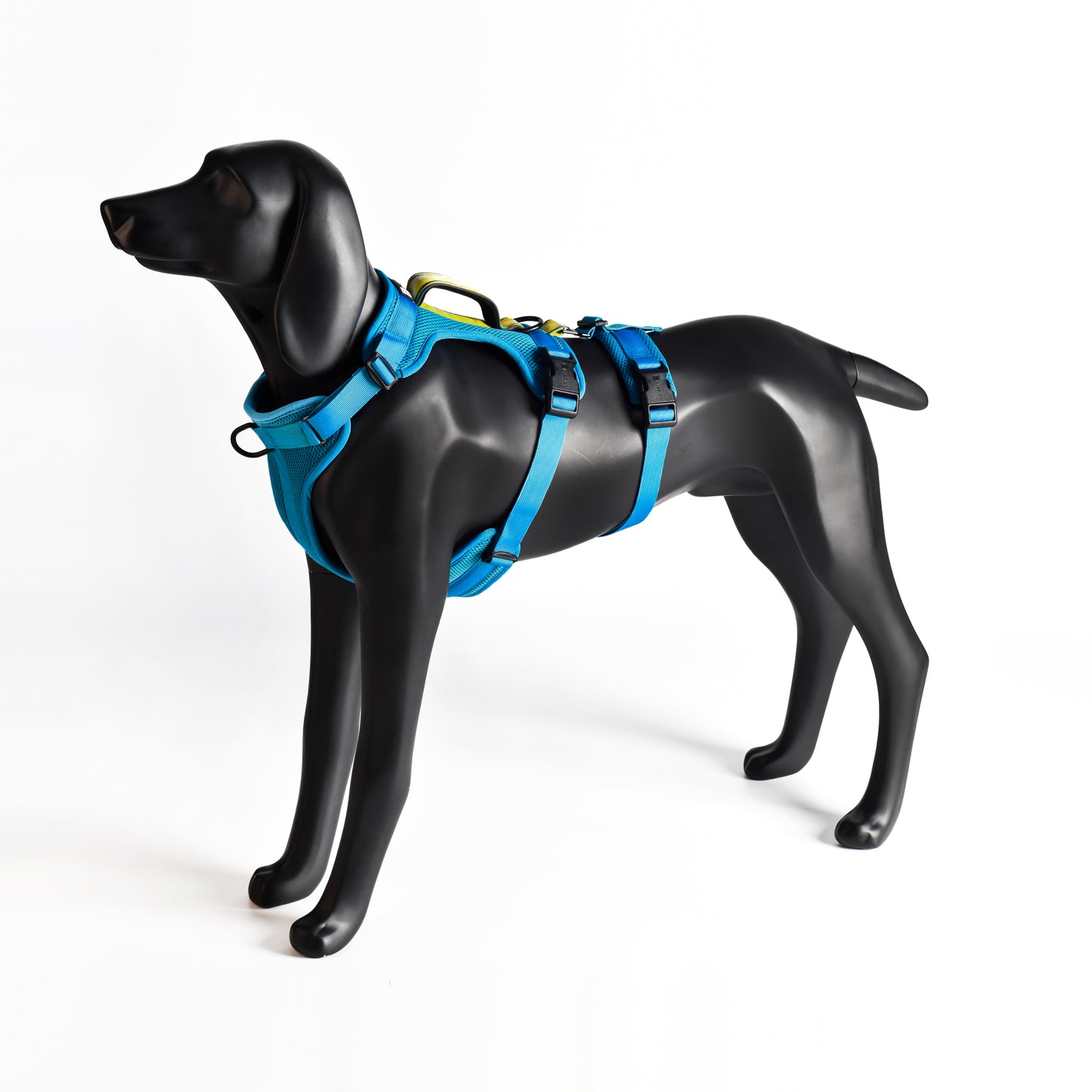 Adventure 2-in-1 Sicherheitsgeschirr - gepolstert, blau
