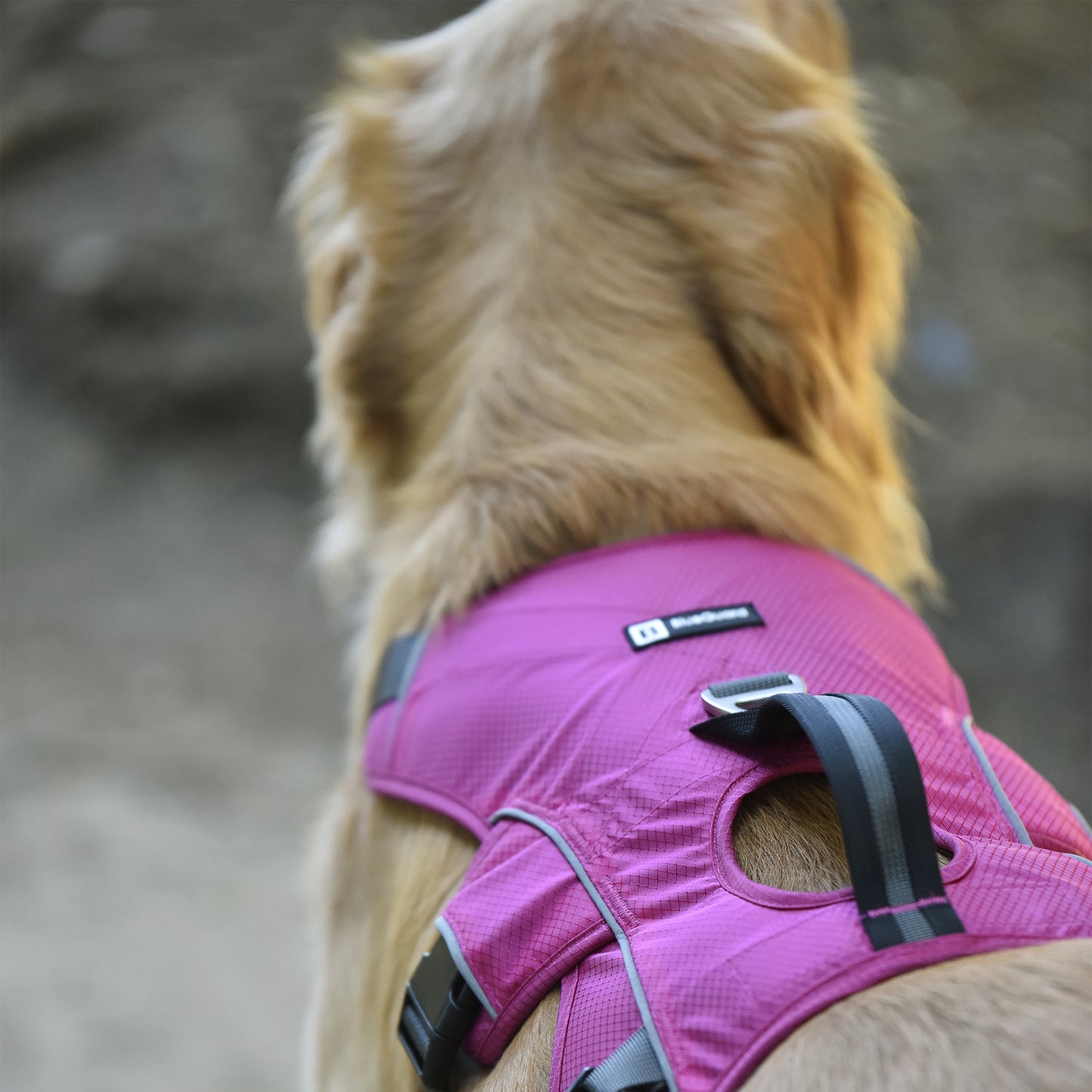 Safe & Soft Sicherheitsgeschirr - gepolstert, pink