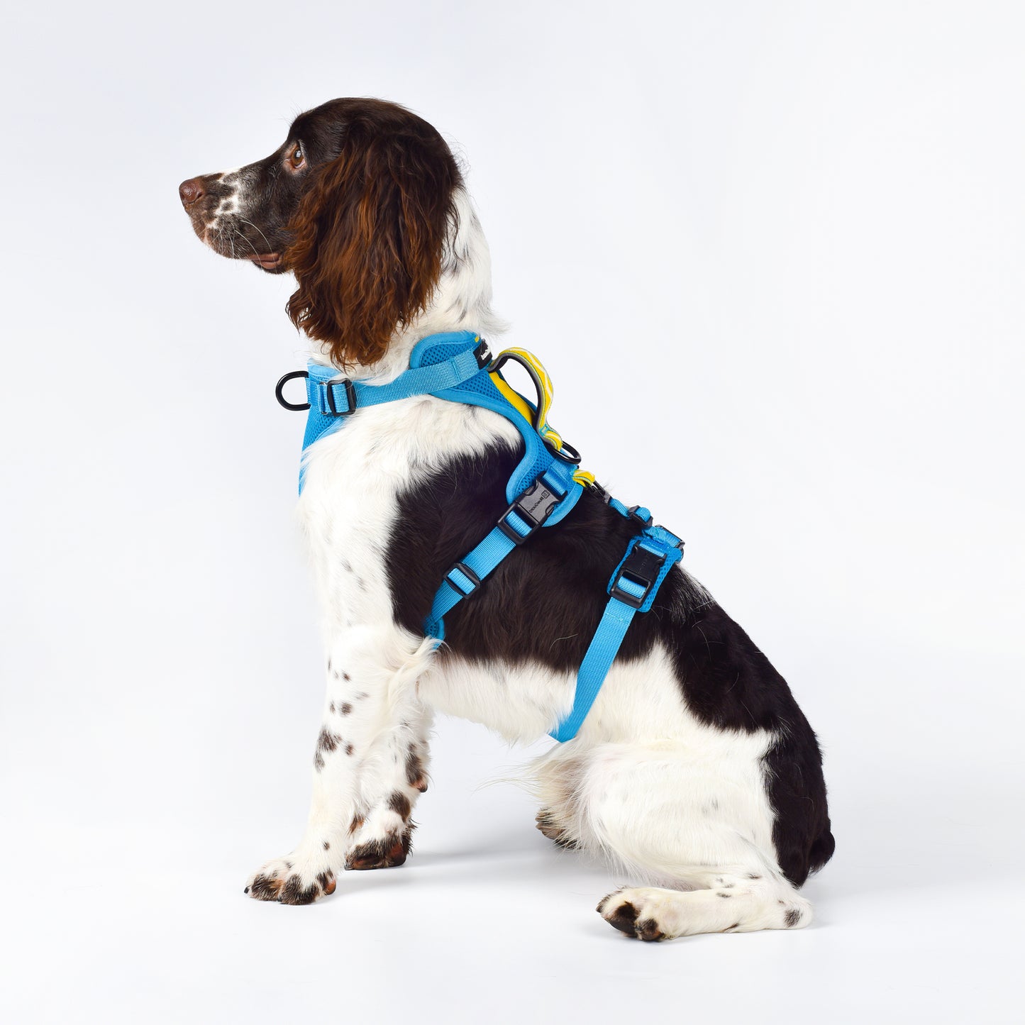 Adventure 2-in-1 Sicherheitsgeschirr - gepolstert, blau