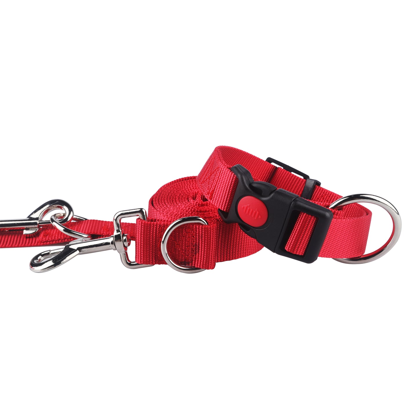 Set Halsband und Leine