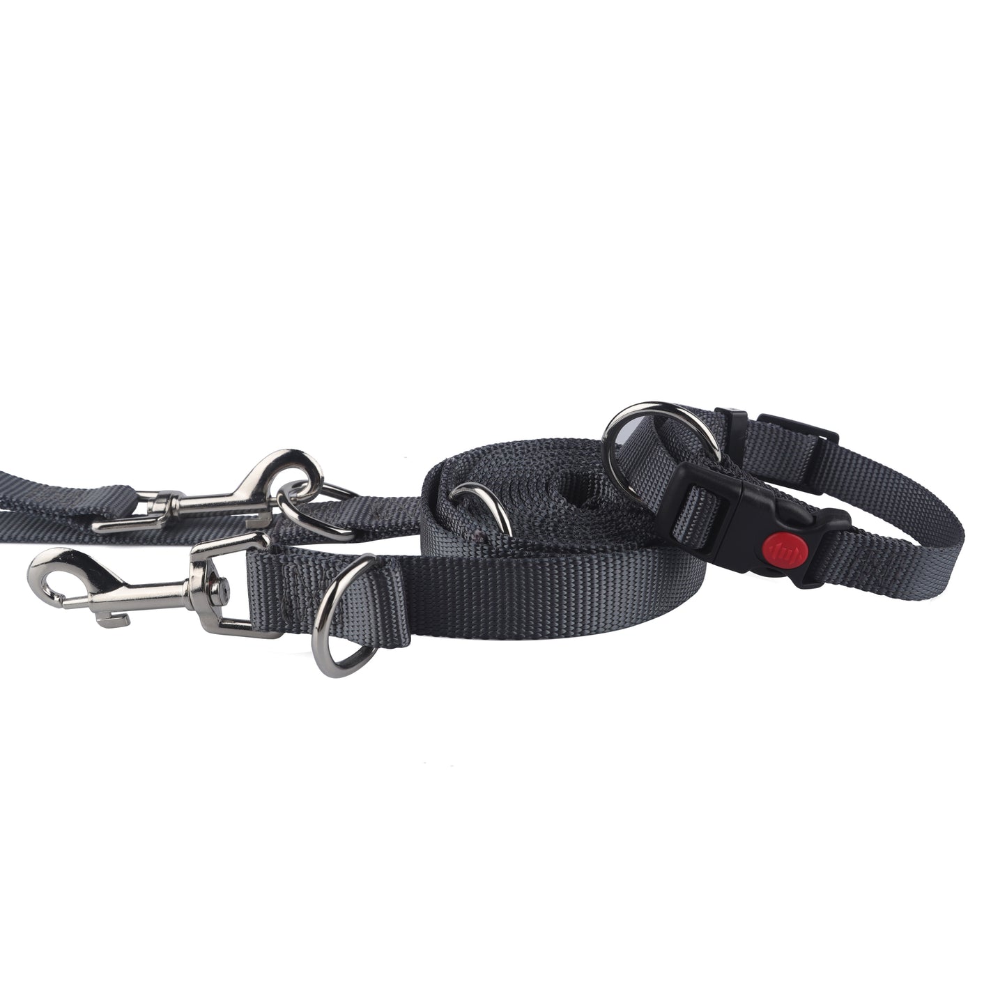 Set Halsband und Leine