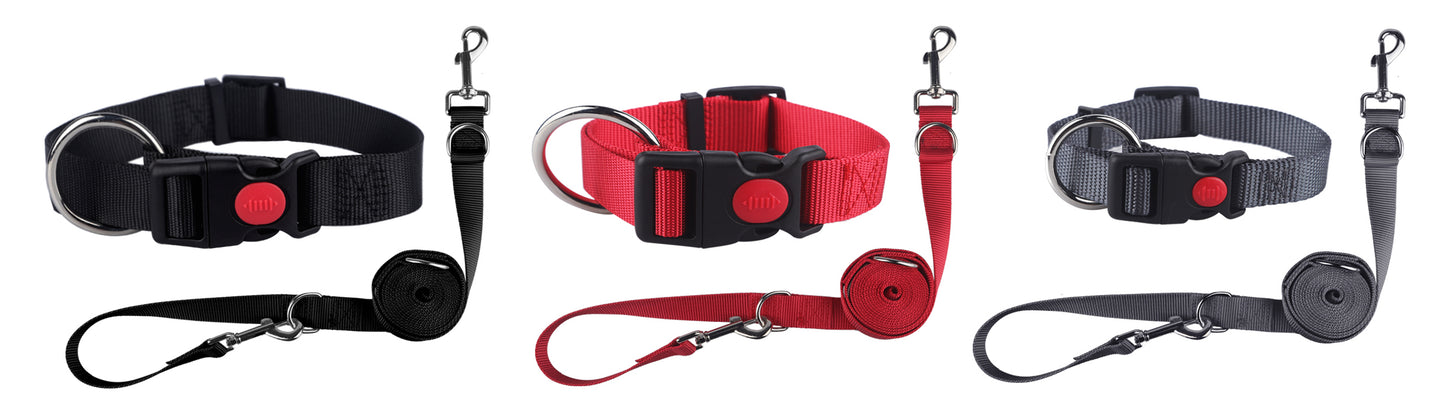 Set Halsband und Leine