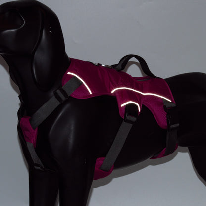 Safe & Soft Sicherheitsgeschirr - gepolstert, pink
