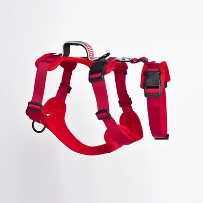 Adventure 2-in-1 Sicherheitsgeschirr - gepolstert, rot