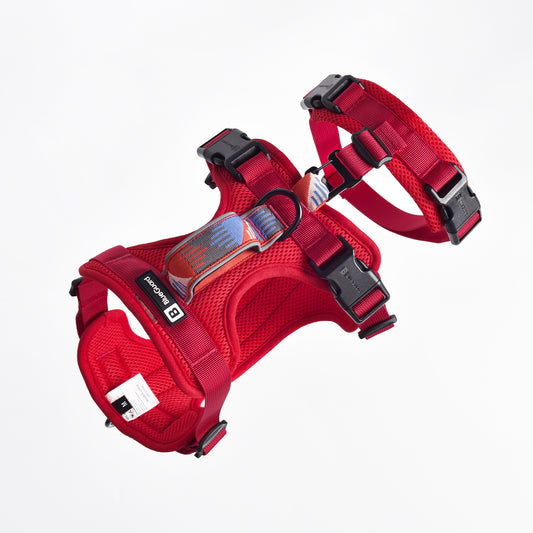 Adventure 2-in-1 Sicherheitsgeschirr - gepolstert, rot