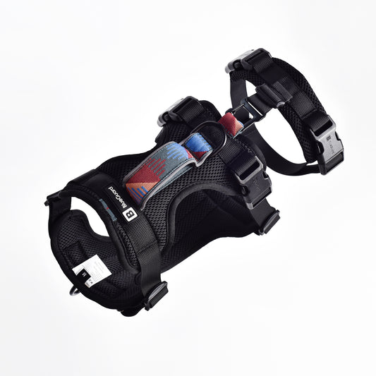 Adventure 2-in-1 Sicherheitsgeschirr - gepolstert, schwarz