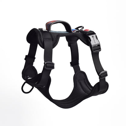 Adventure 2-in-1 Sicherheitsgeschirr - gepolstert, schwarz