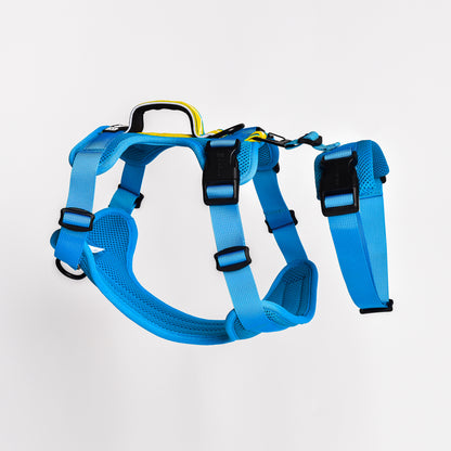 Adventure 2-in-1 Sicherheitsgeschirr - gepolstert, blau