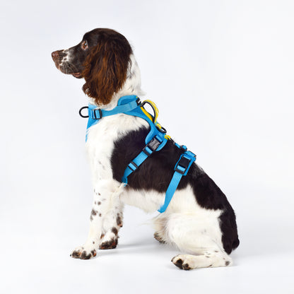 Adventure 2-in-1 Sicherheitsgeschirr - gepolstert, blau